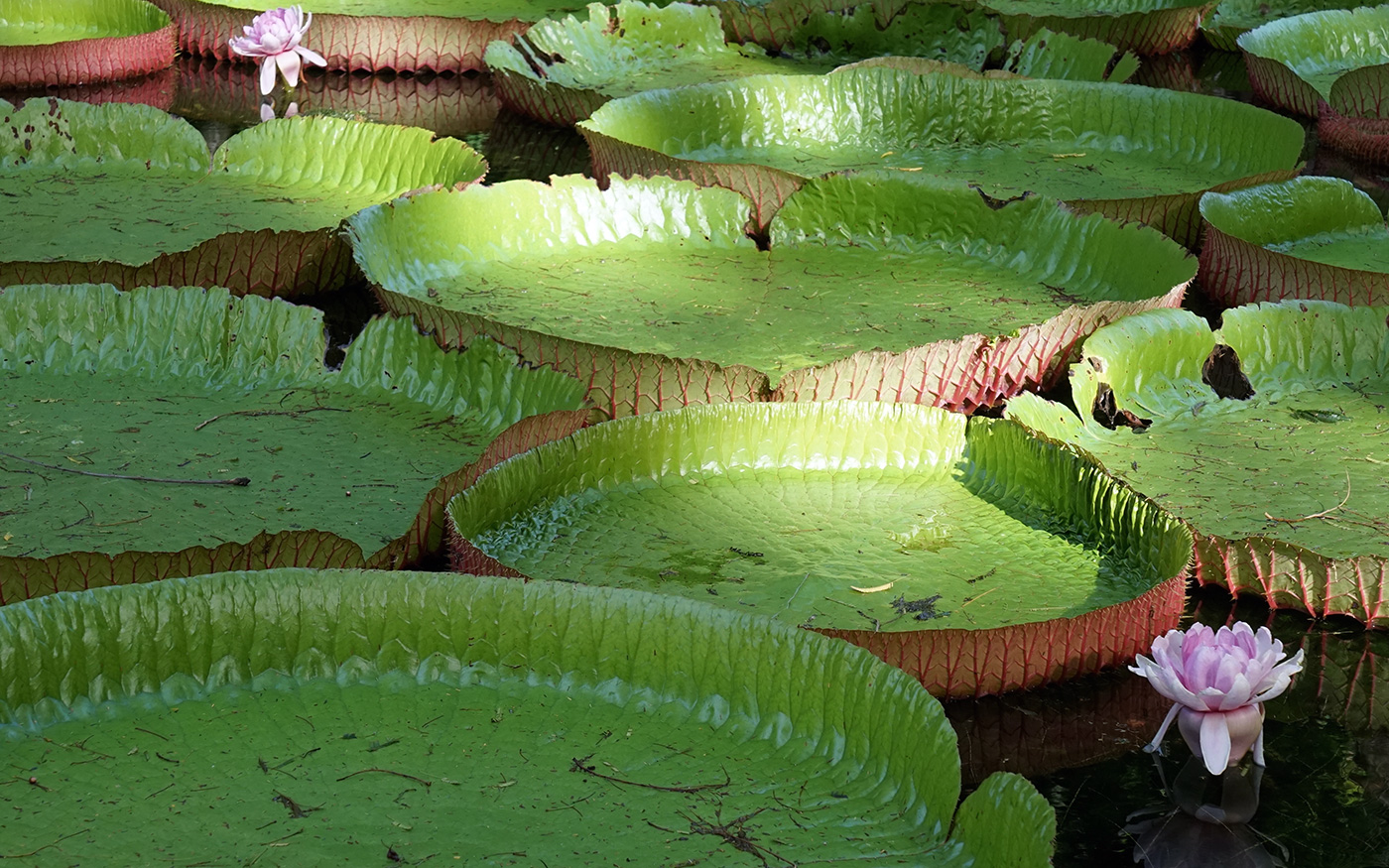 thomas flamm beratungen business coaching organisationsentwicklung philosophisch-psychologische beratung