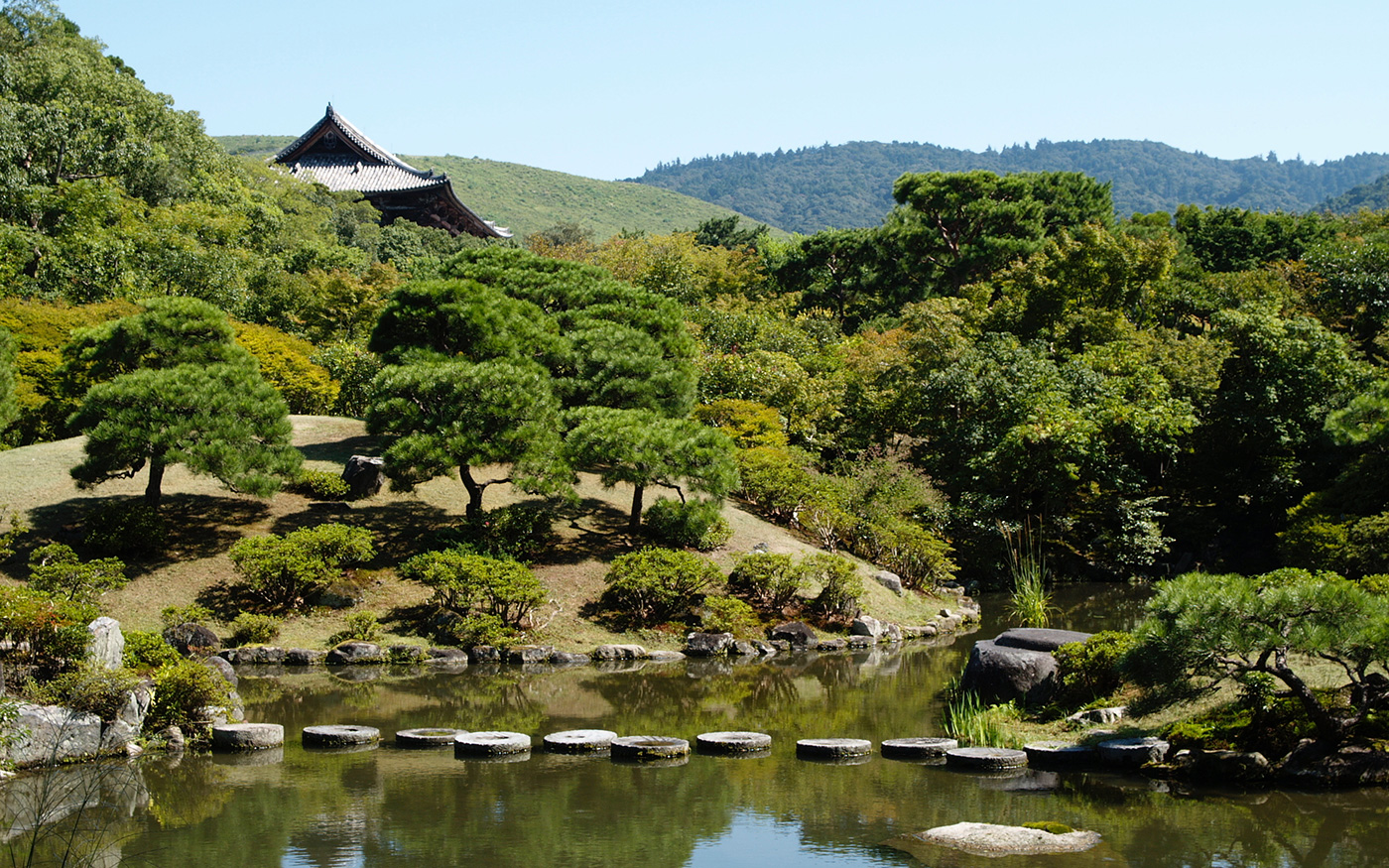 thomas flamm beratungen business coaching organisationsentwicklung philosophisch-psychologische beratung